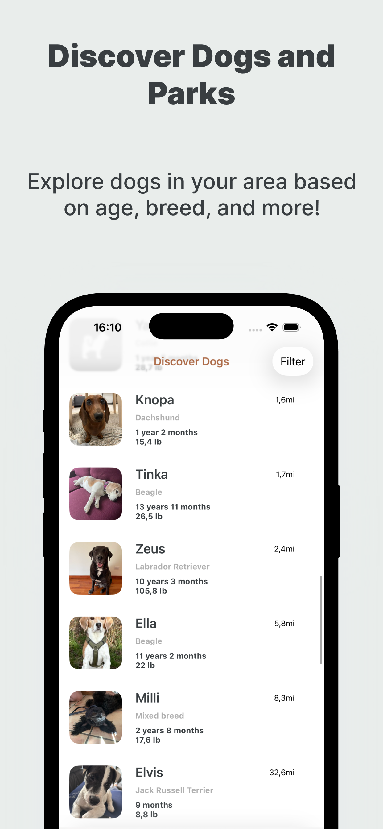Discover Dogs and Parks screen showing nearby dogs in a list.