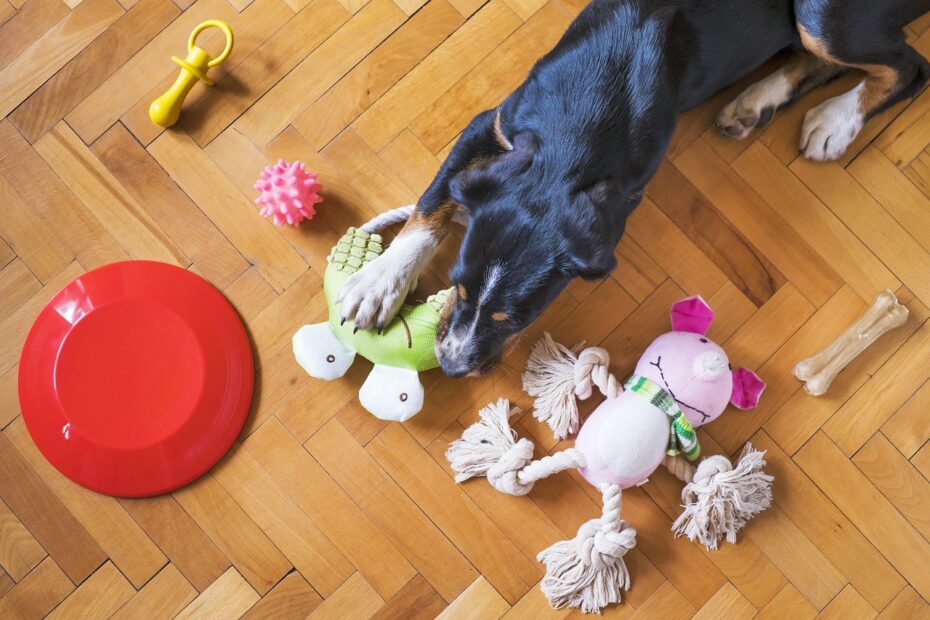 dog toys, dog playing, dog chew toy