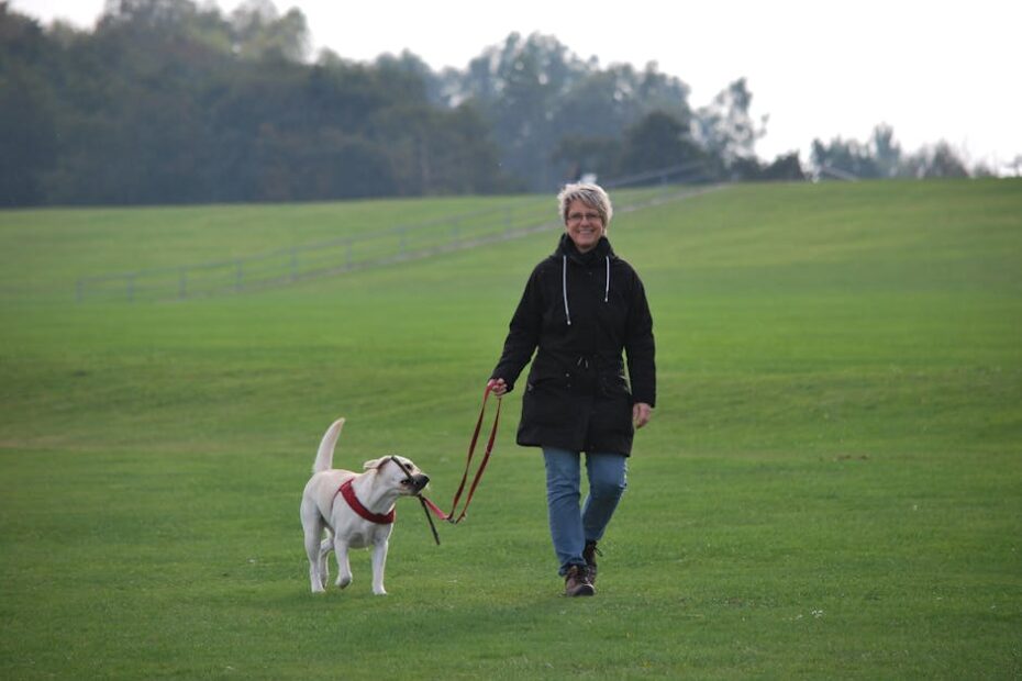 A woman walking her Labrador Retriever in a spacious green field on a cloudy day.